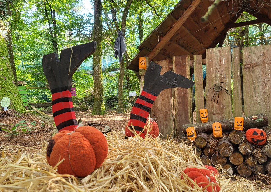 Halloween au Parc Land aux Lutins : Vacances d'Automne 2024 Inoubliables pour Enfants et Familles dans le Morbihan !